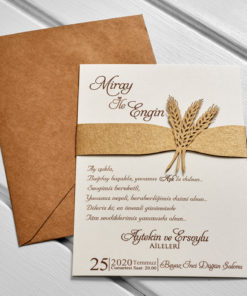 İklim Davetiye 10562#1