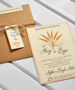 İklim Davetiye 10567#1