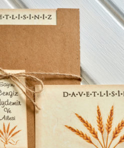 İklim Davetiye 10567#2